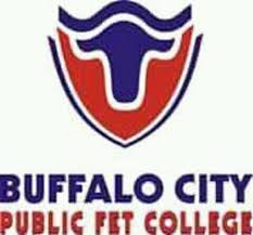 Buffalo City College Application Form