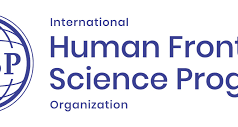 Human Frontier Science Program Postdoctoral Fellowships 2023-2024